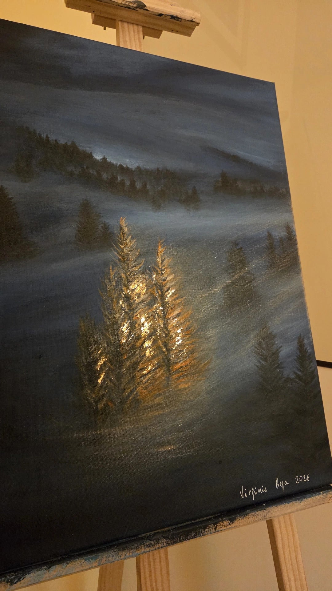 "Shards of light"